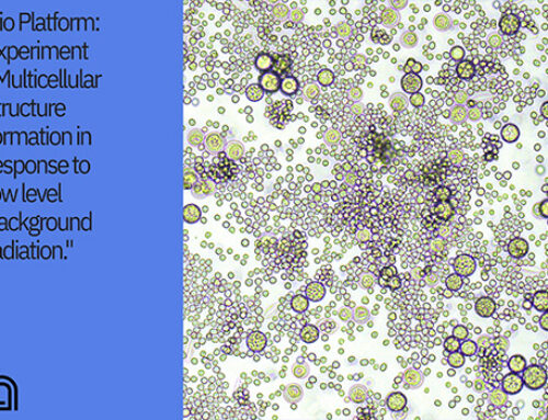 Bio Platform: experiment “Multicellular structure formation in response to low level background radiation”