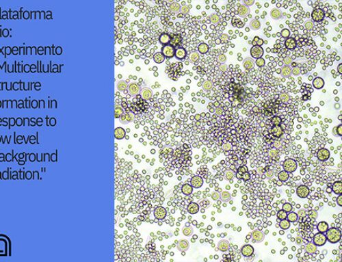 Plataforma Bio: experimento “Multicellular structure formation in response to low level background radiation”