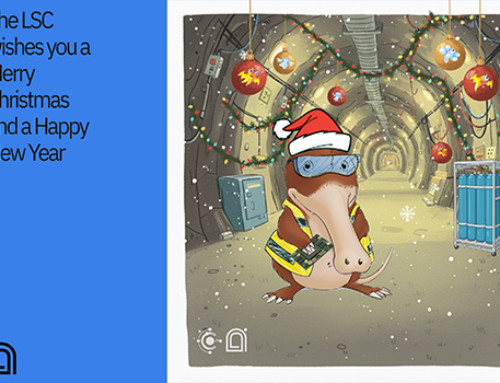 The LSC wishes you a Merry Christmas and a Happy New Year