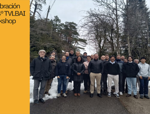 Celebración del 4º TVLBAI Workshop