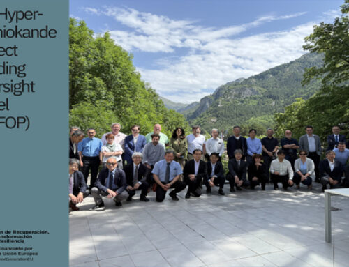 6º Hyper-Kamiokande Project Funding Oversight Panel (HKFOP)